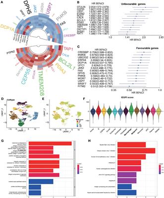 The immune escape signature predicts the prognosis and immunotherapy sensitivity for pancreatic ductal adenocarcinoma